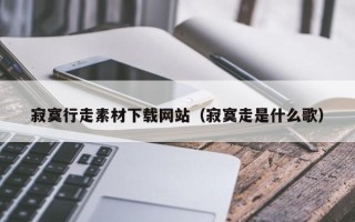 新余寂寞行走素材下载网站（寂寞走是什么歌）